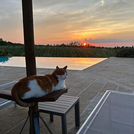 Agriturismo La Rinaldina Faenza Kültér fotó