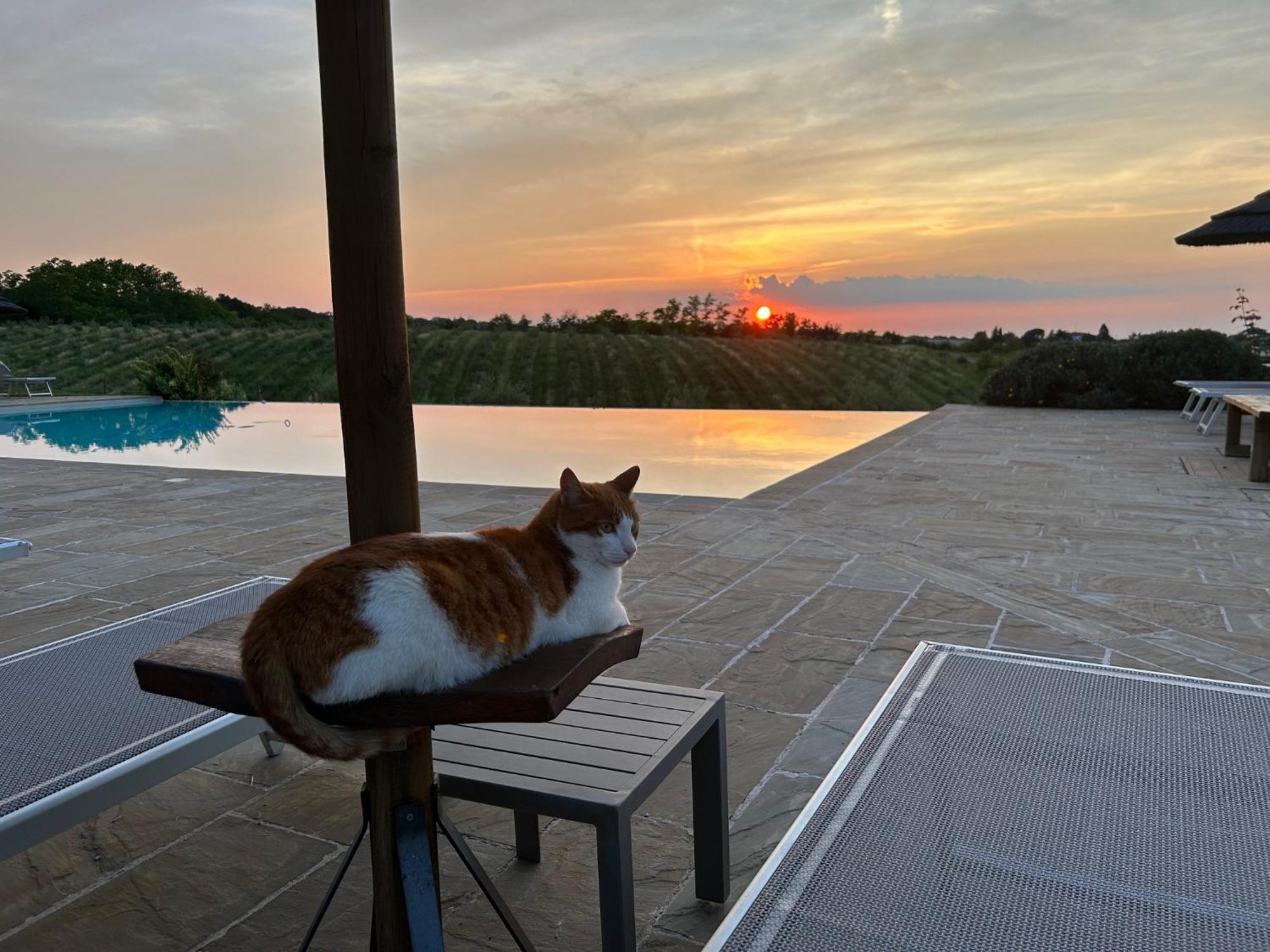 Agriturismo La Rinaldina Faenza Kültér fotó