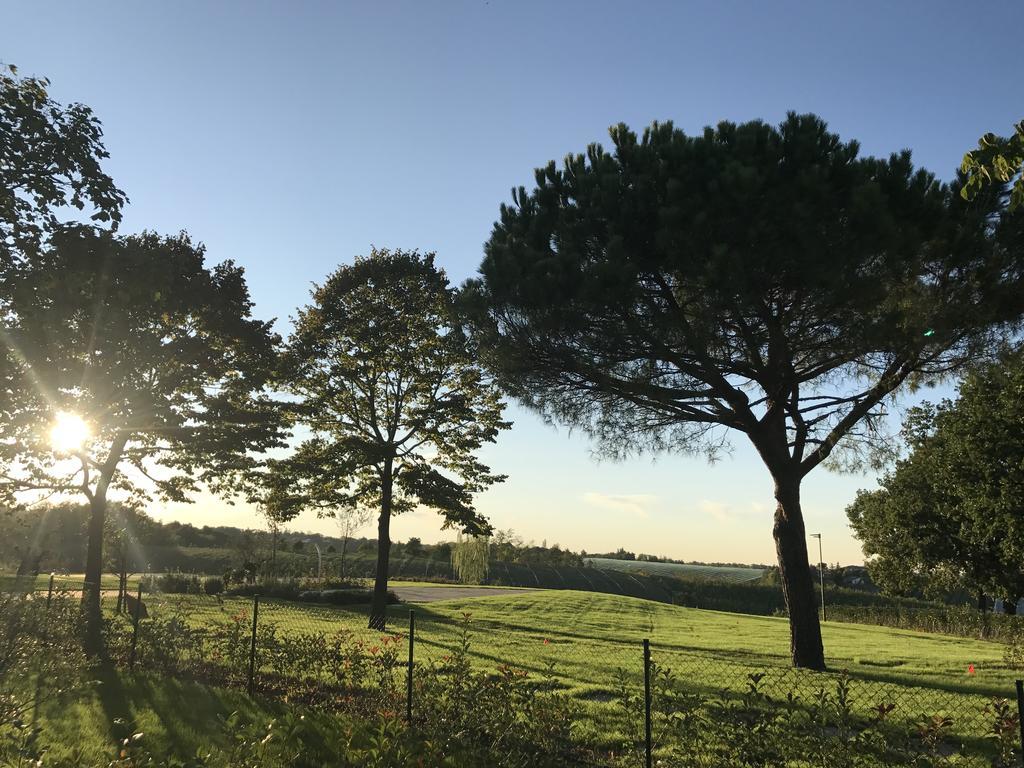 Agriturismo La Rinaldina Faenza Kültér fotó