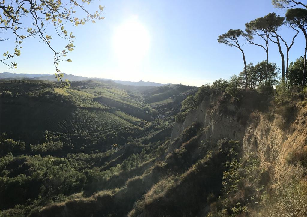 Agriturismo La Rinaldina Faenza Kültér fotó