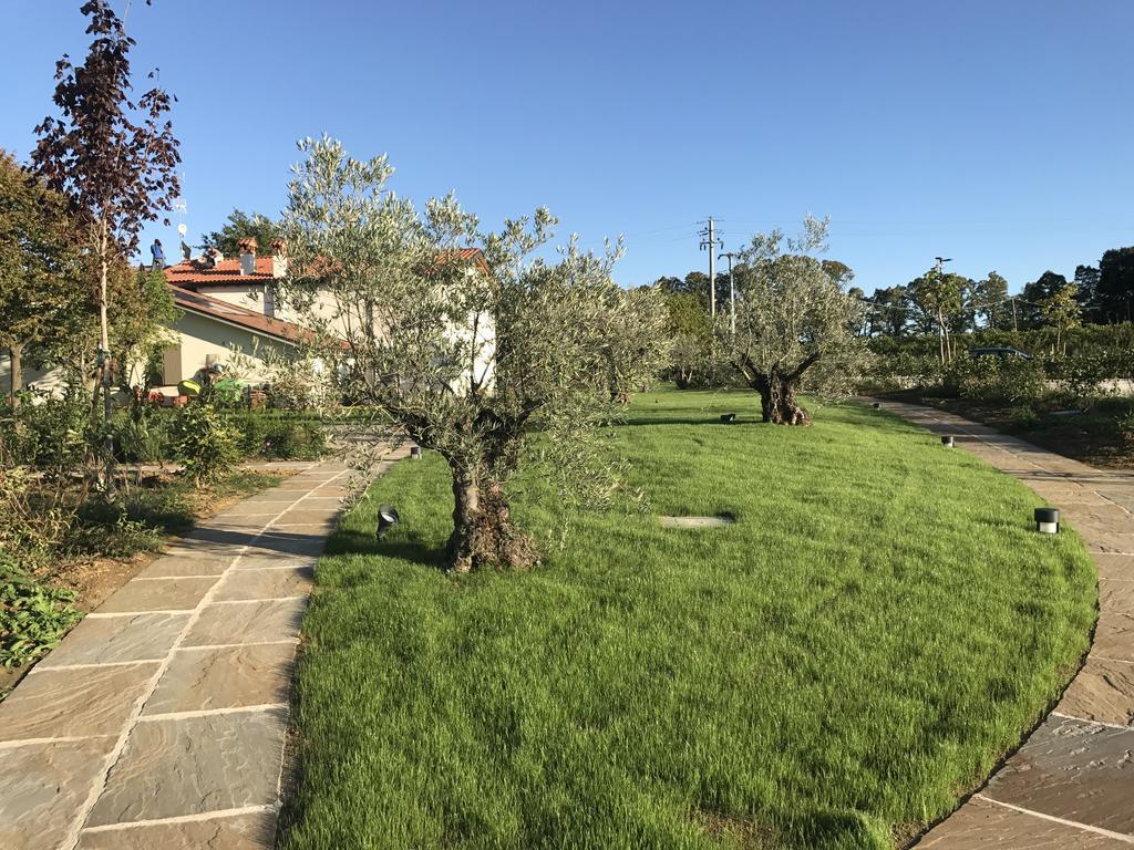 Agriturismo La Rinaldina Faenza Kültér fotó
