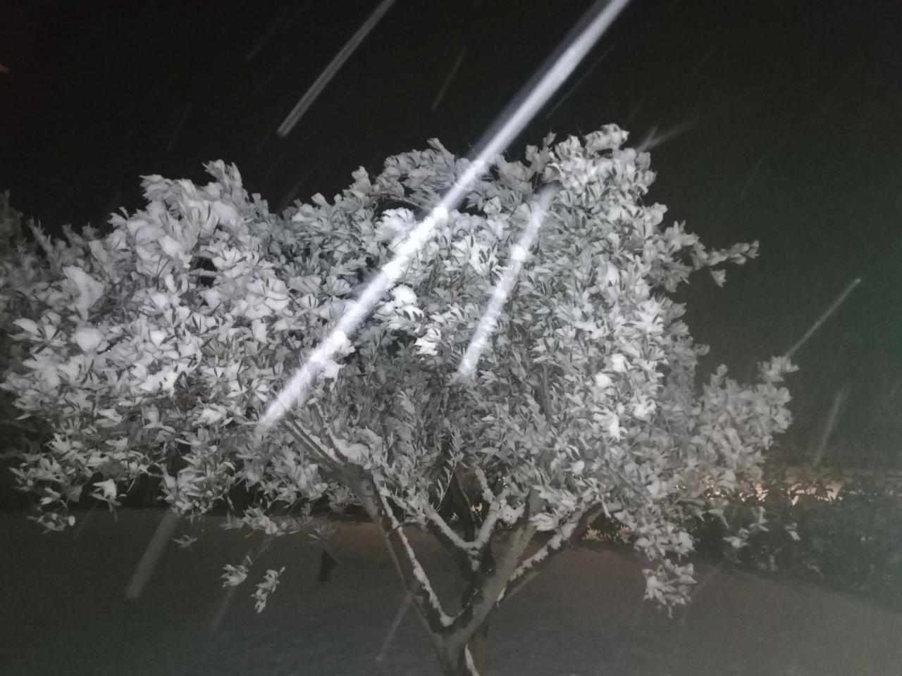 Agriturismo La Rinaldina Faenza Kültér fotó