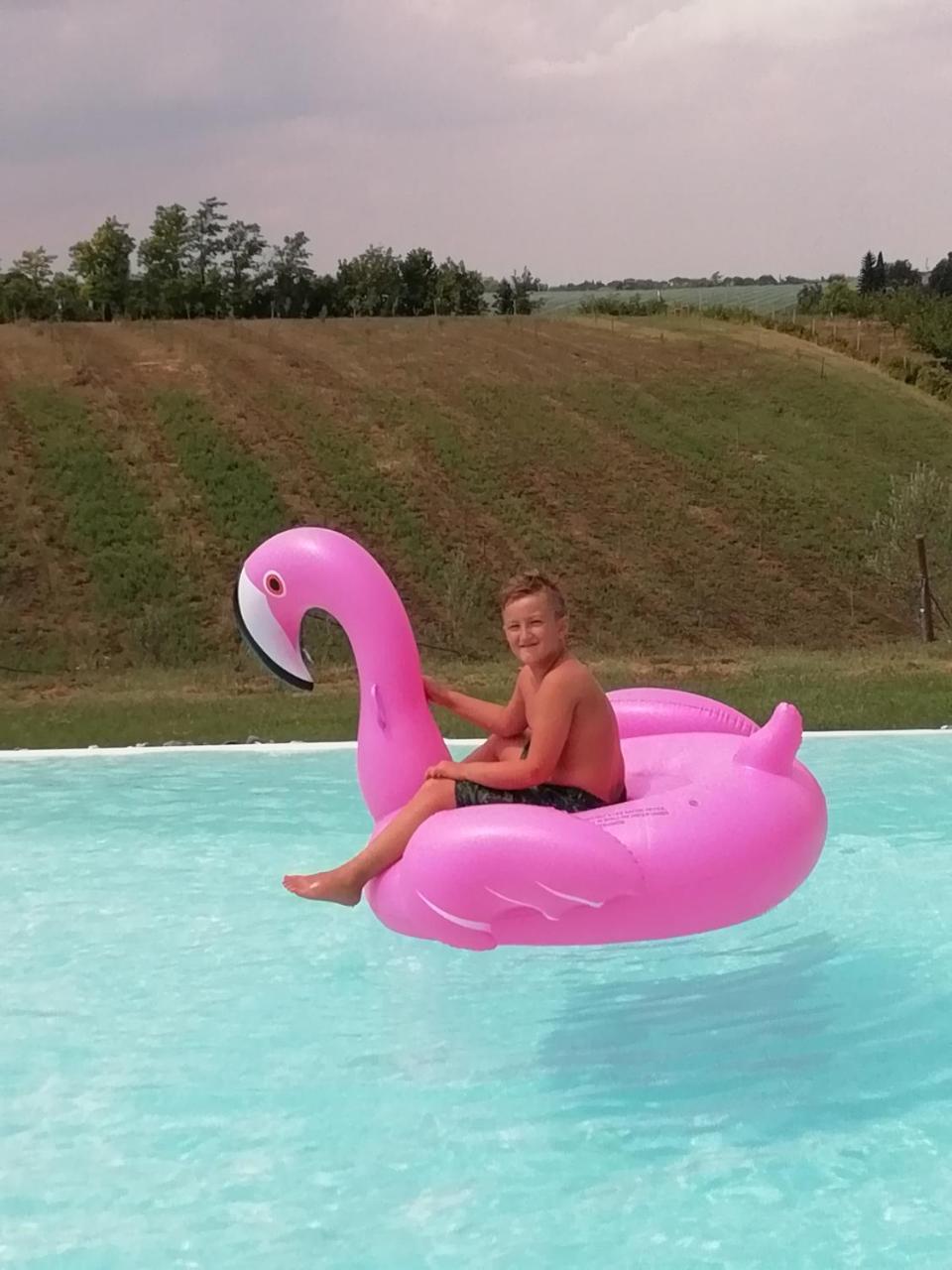 Agriturismo La Rinaldina Faenza Kültér fotó
